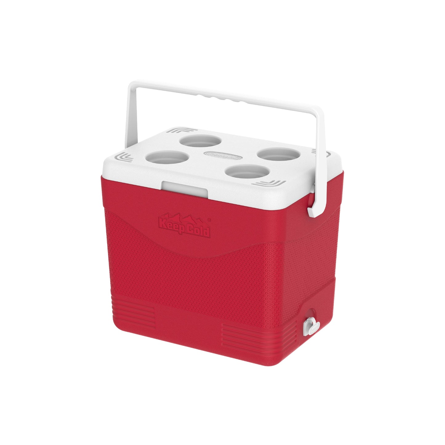 24L KeepCold Picnic Icebox - Cosmoplast Kuwait