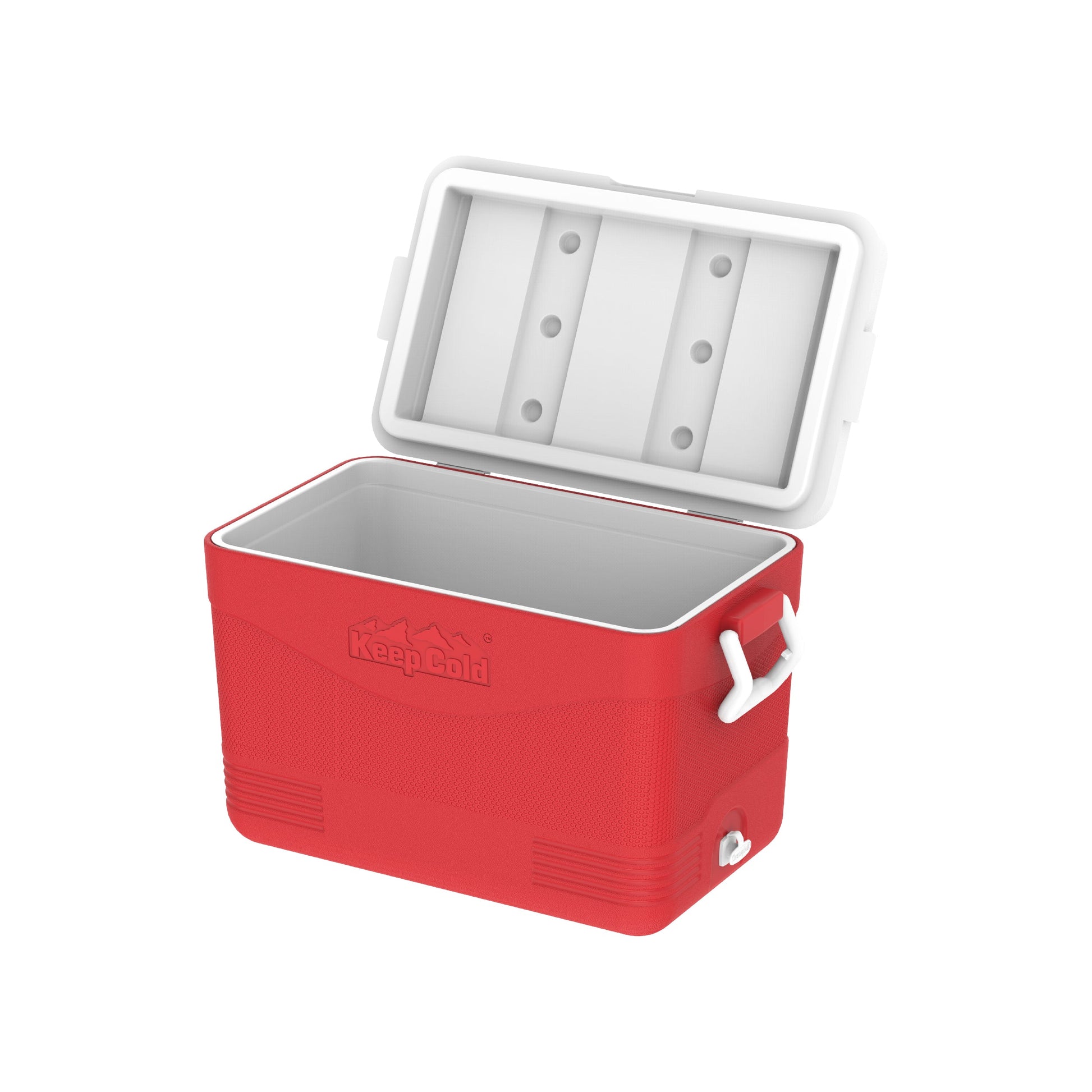 46L KeepCold Picnic Icebox - Cosmoplast Kuwait