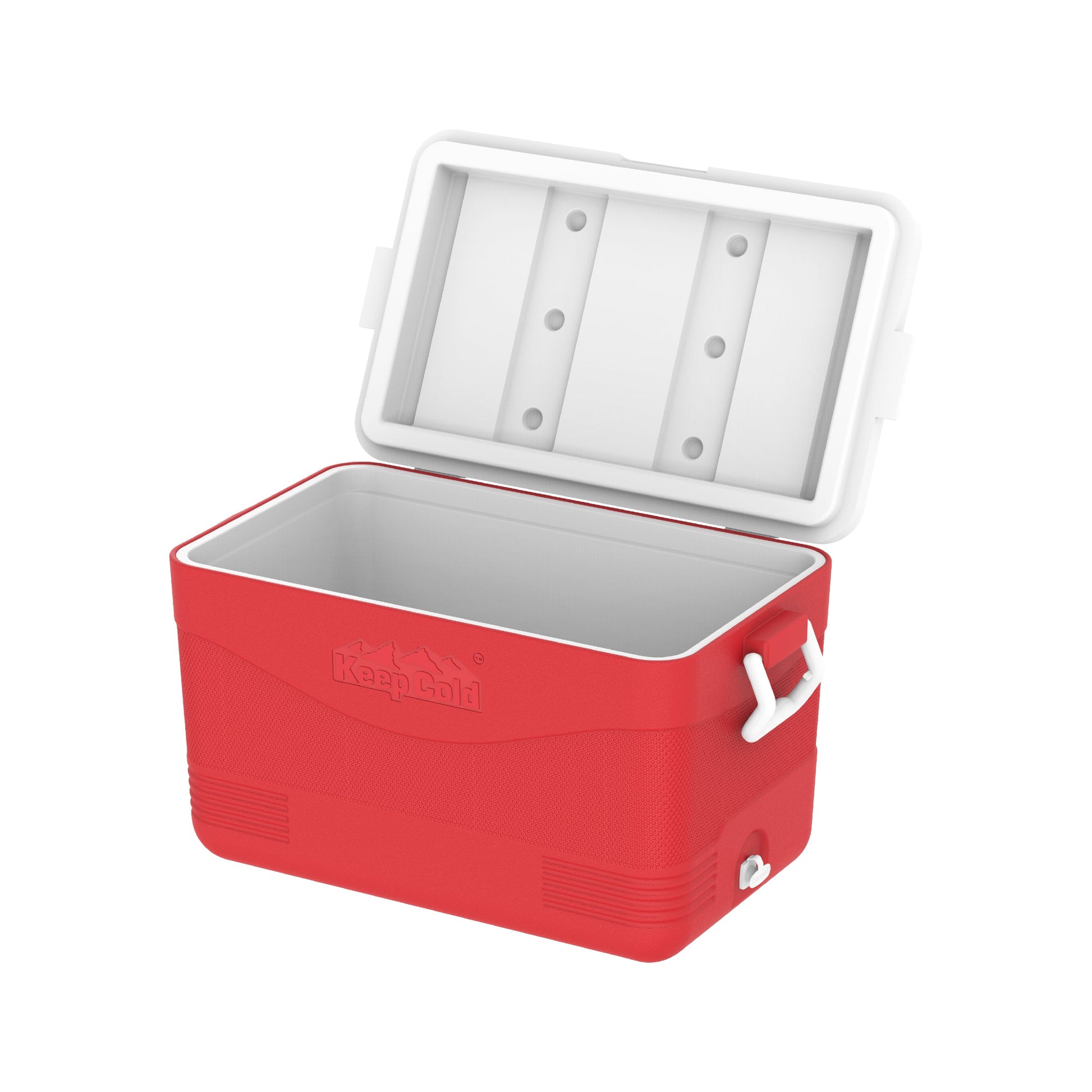 60L KeepCold Picnic Icebox - Cosmoplast Kuwait
