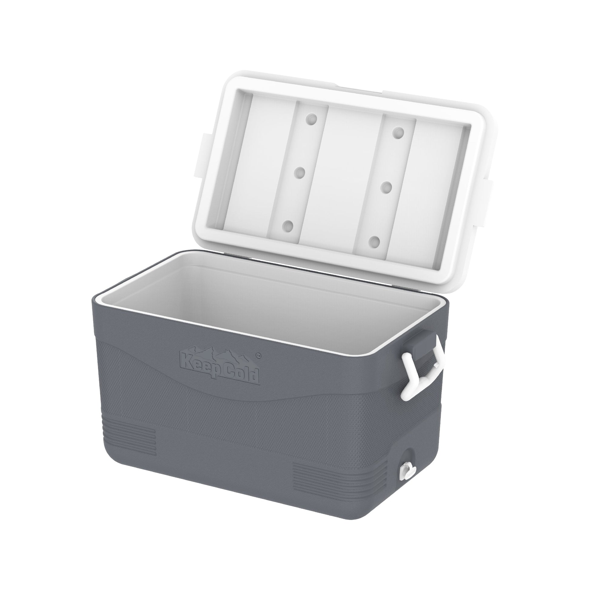 60L KeepCold Picnic Icebox - Cosmoplast Kuwait