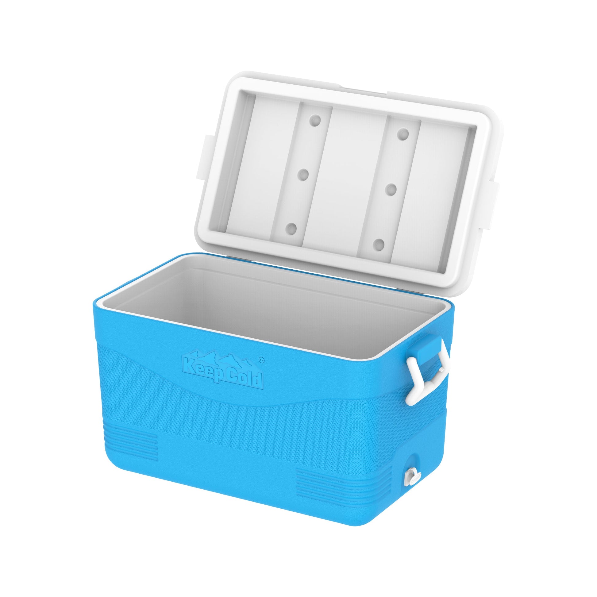 60L KeepCold Picnic Icebox - Cosmoplast Kuwait